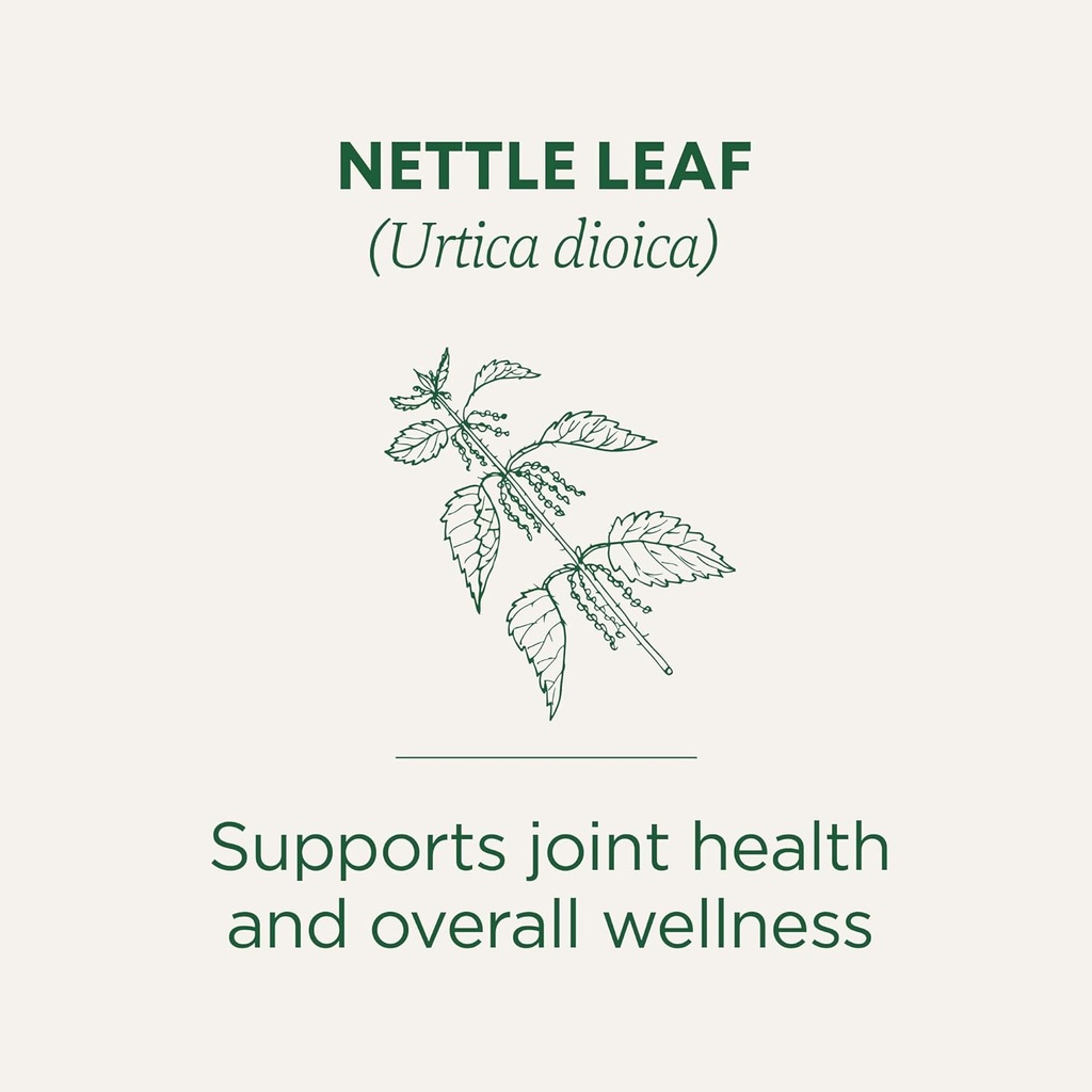 traditional-medicinals-organic-nettle-te-3.jpg