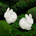 2pcs-ceramic-toilet-bolt-covers-rabbit-s-4.jpg