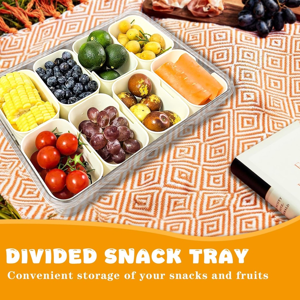 snackle-box-container-8-compartments-div-6.jpg