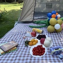 oversize-picnic-beach-blanket-80x60-outd-6.jpg