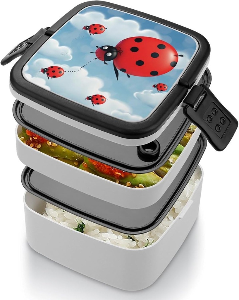 ladybug-and-cloud-bento-box-double-layer-5.jpg