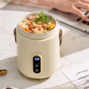 mini-portable-electric-heating-cup---mul-2.jpg