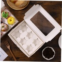 cupcake-containers-window-6-count-paper--5.jpg