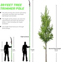 pole-saw-for-tree-trimming---30-ft-exten-2.jpg