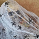 spinlala-halloween-spider-web-decoration-3.jpg