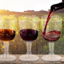 luozzy-48pcs-plastic-goblet-clear-wine-c-5.jpg