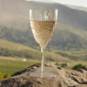 oojami-elegant-plastic-champagne-flutes--5.jpg