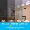 daybetter-br30-led-light-bulbs-indoor-fl-5.jpg