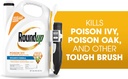 roundup-poison-ivy-plus-tough-brush-kill-3.jpg