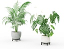 zhongma-2-pack-87-sturdy-potted-plant-st-3.jpg
