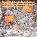 maqihan-950-sqft-spider-webs-halloween-d-6.jpg