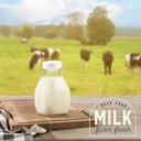 kitchentoolz-16-oz-glass-mini-milk-bottl-4.jpg