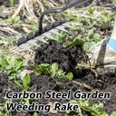 iron-rake-20-weed-puller-tool-gardenia-i-4.jpg