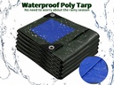 tarpal-10x10-feet-green-tarp-waterproof--2.jpg