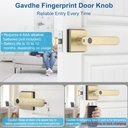 gold-fingerprint-door-lock-smart-finger--4.jpg