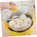 multifunctional-electric-steam-pot-with--5.jpg