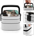 a-curious-cat-bento-box-adult-lunch-box--5.jpg