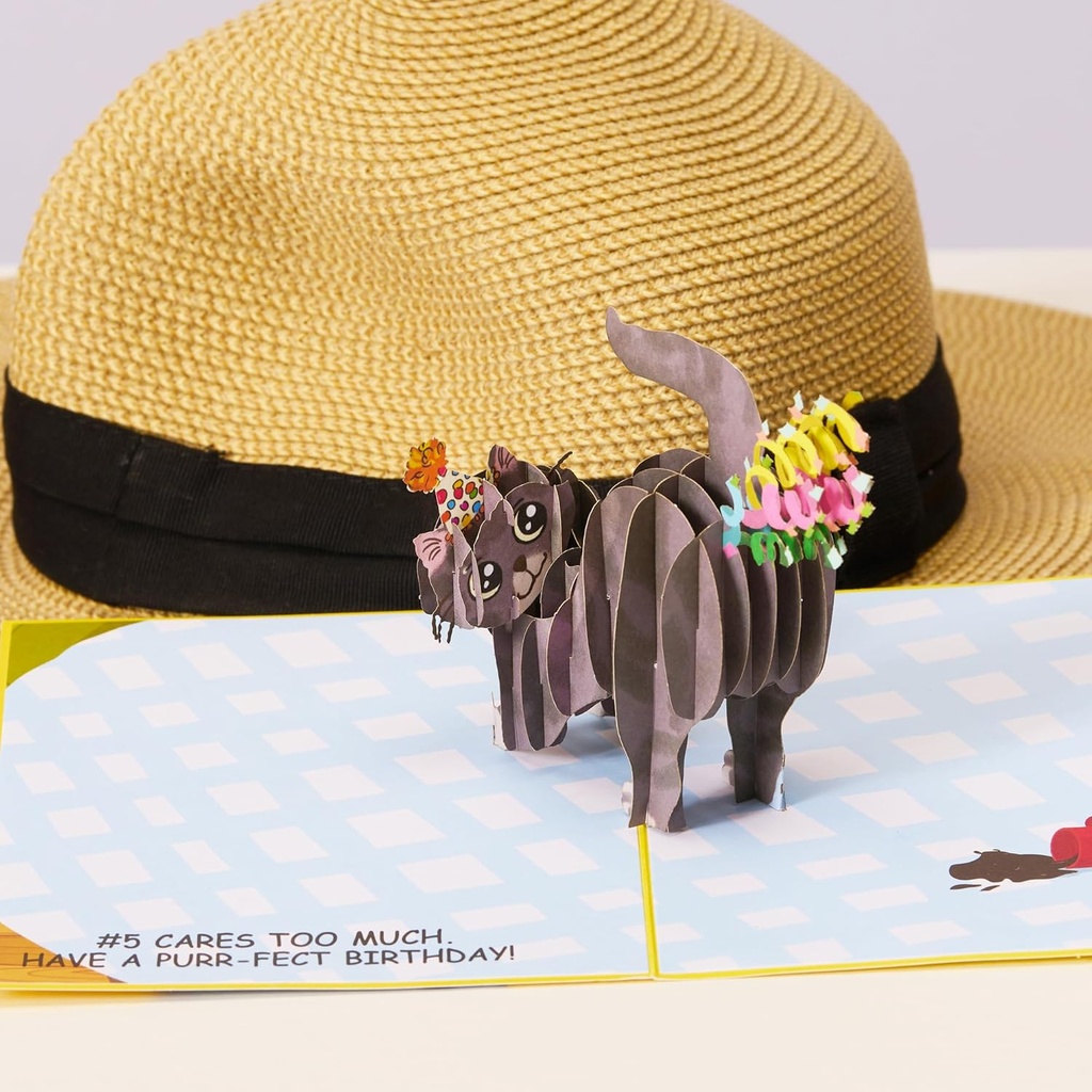 dirty-pop-cardspurr-fect-pop-up-birthday-2.jpg