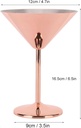 stainless-steel-martini-glasses-set-of-2-2.jpg