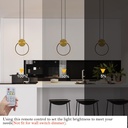 modern-black-and-gold-pendant-lights-fix-4.jpg
