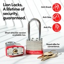 lion-locks-48-keyed-alike-padlocks-with--6.jpg