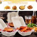 50-set-6x6-compostable-clamshell-takeout-4.jpg