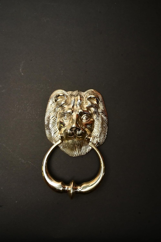 lion-faced-door-knocker-traditional-styl-3.jpg