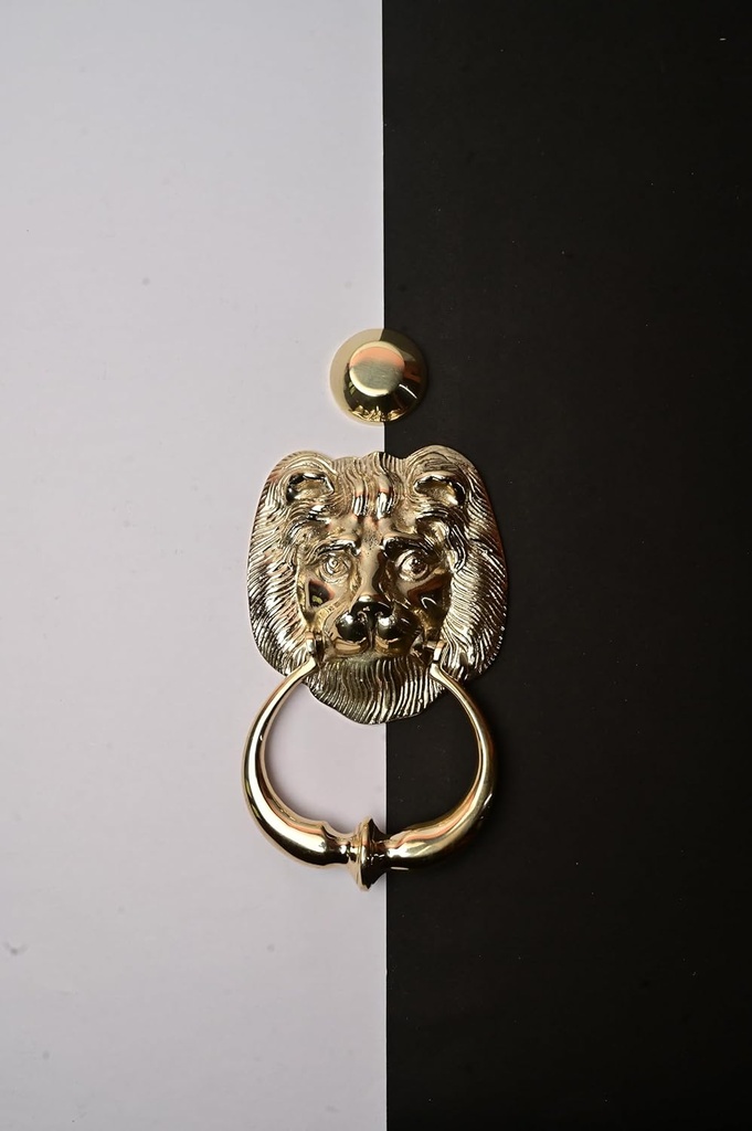 lion-faced-door-knocker-traditional-styl-4.jpg