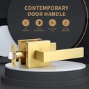 passage-door-handle-brushed-gold-door-ha-3.jpg