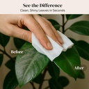 plant-leaf-cleaner-leaf-shine-plant-clea-4.jpg