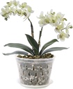 orchid-pot-8-inch-4-pack-orchid-pots-wit-5.jpg