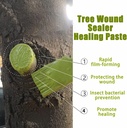 tree-wound-sealer-tree-pruning-sealer-tr-3.jpg