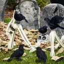 8-packs-halloween-black-crows-feathered--5.jpg