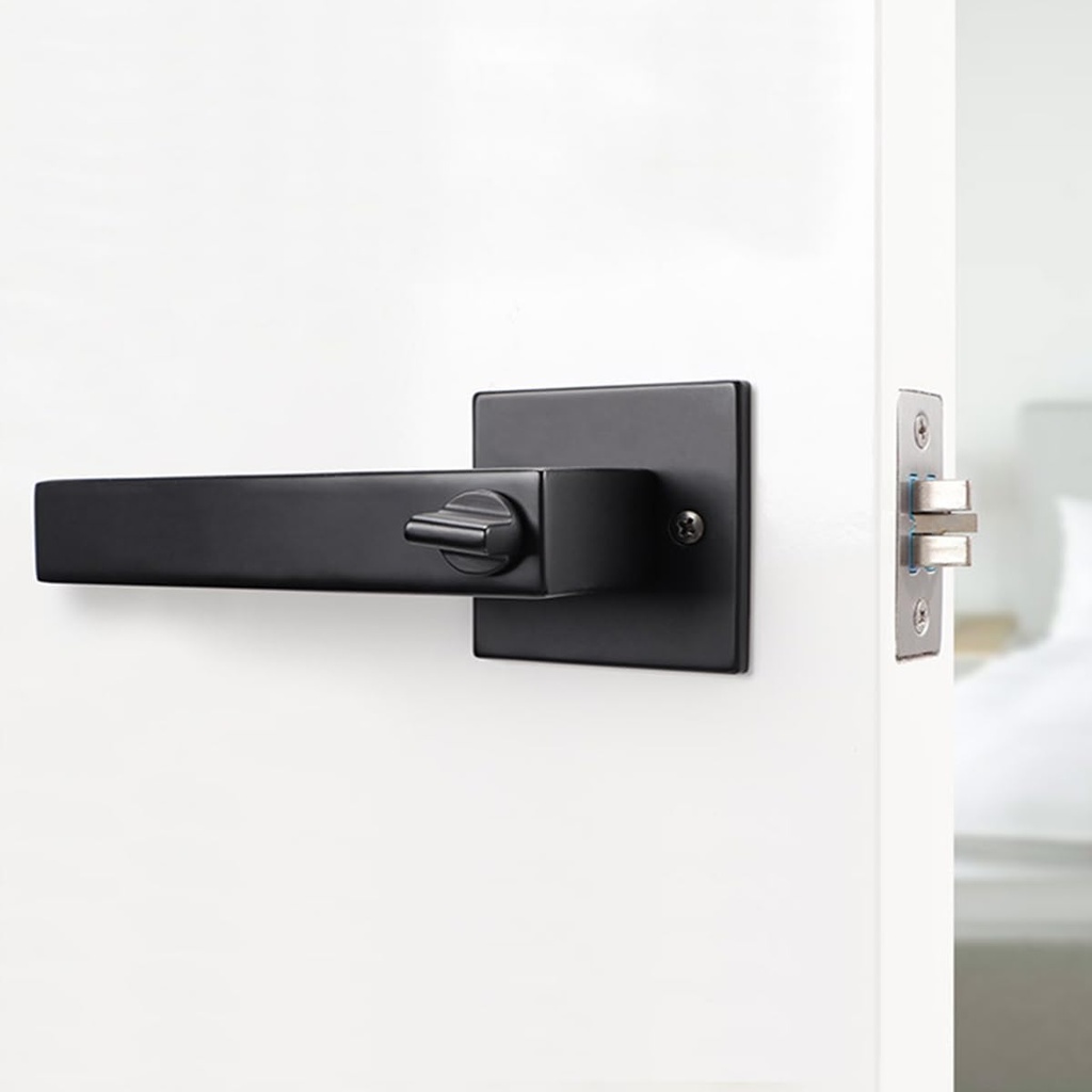 wanlian-square-entry-lever-door-handle-l-5.jpg