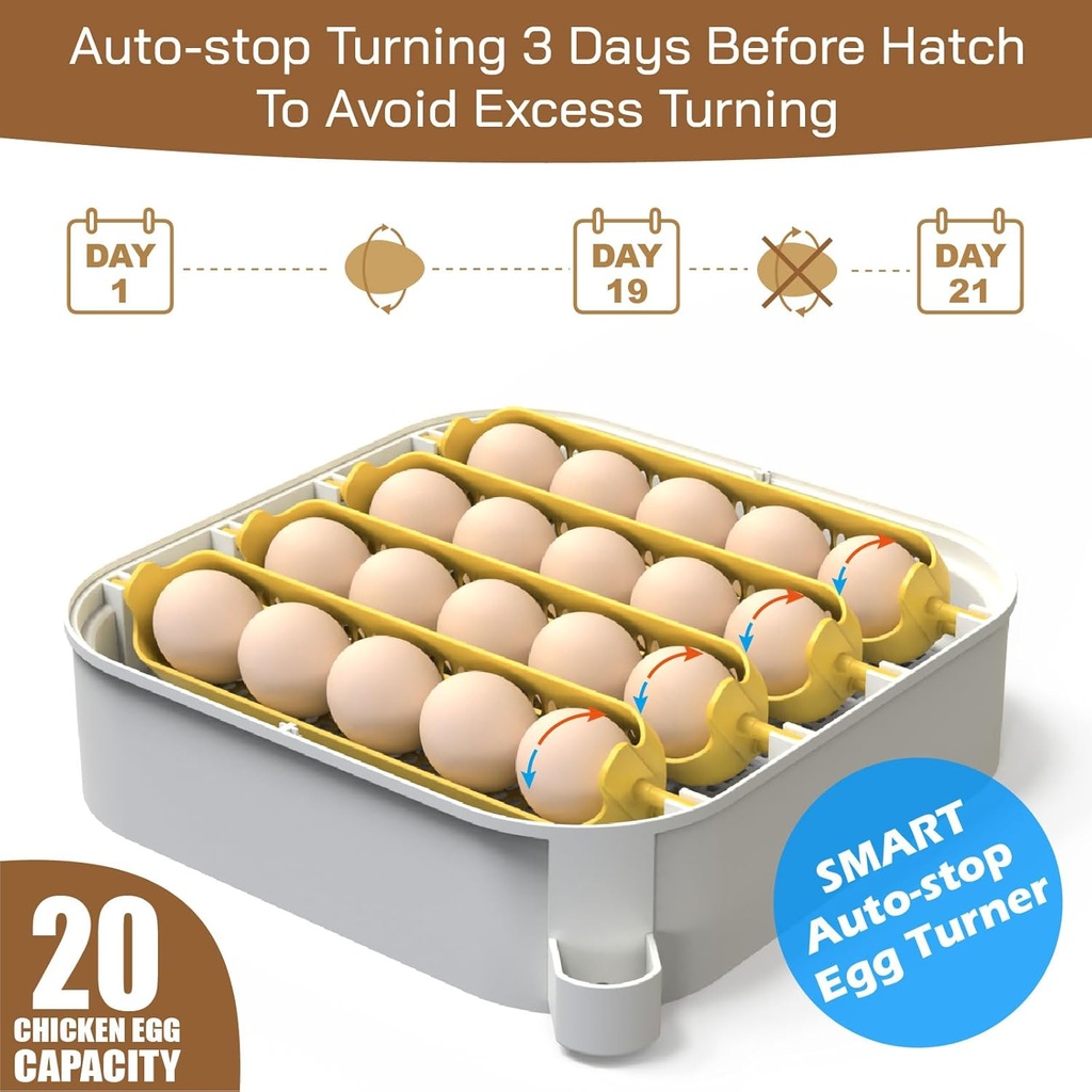 maticoopx-20-egg-incubator-with-humidity-5.jpg