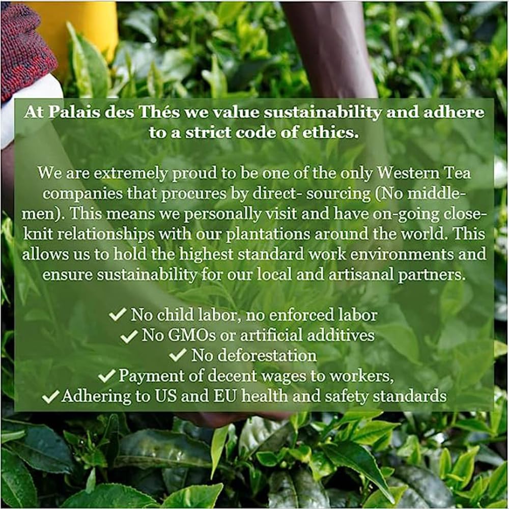 palais-des-thes---premium-iced-tea-bundl-5.jpg