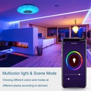 horevo-led-music-ceiling-light-with-blue-5.jpg
