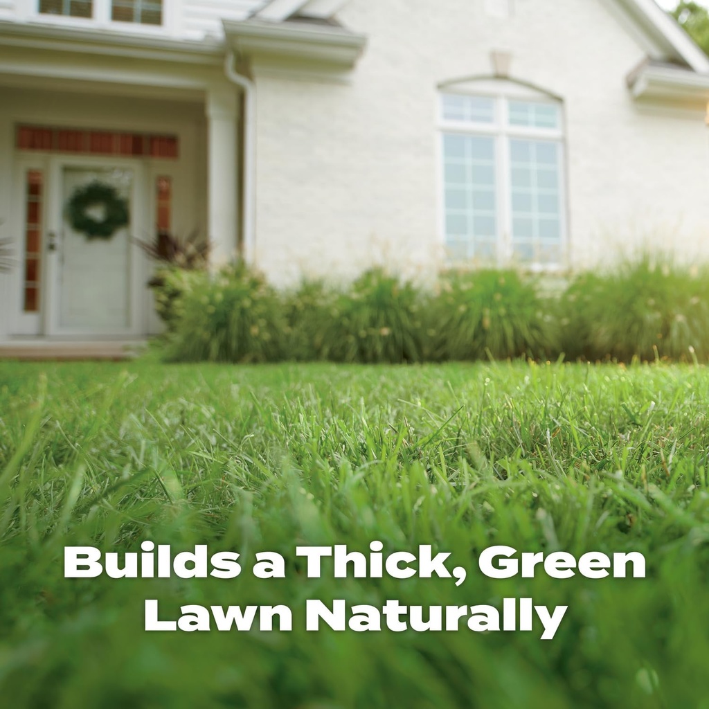 scotts-natural-lawn-food-lawn-fertilizer-4.jpg