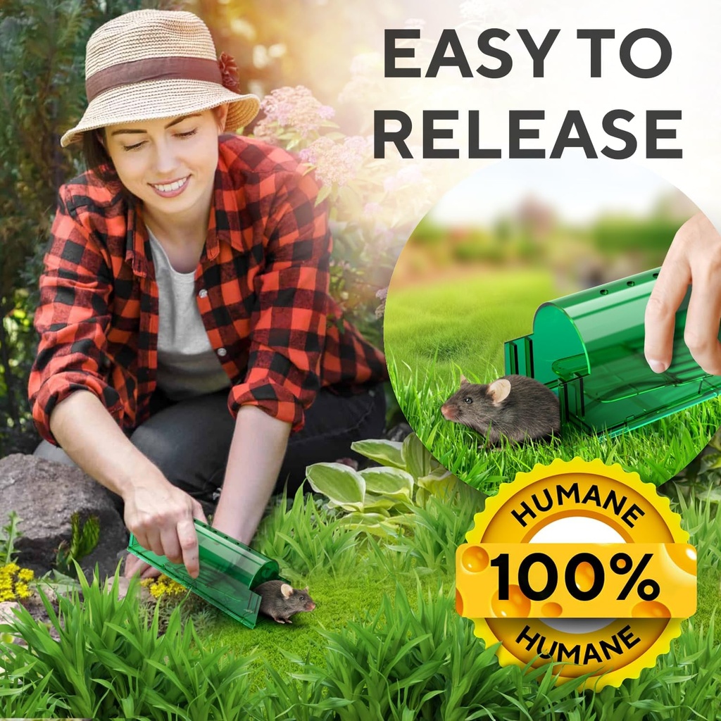 humane-catch-and-release-mouse-traps-pac-5.jpg