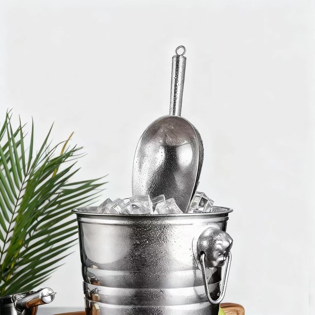 small-metal-ice-scoop-for-freezer---stai-5.jpg