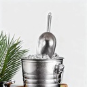 small-metal-ice-scoop-for-freezer---stai-5.jpg