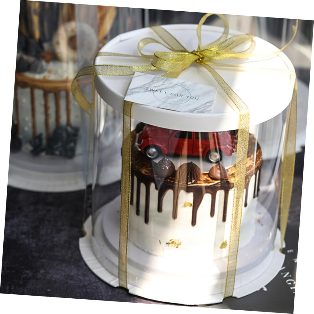 vosarea-transparent-cake-box-double-laye-5.jpg