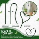 10pcs-plant-support-stakes-for-indoor-pl-3.jpg