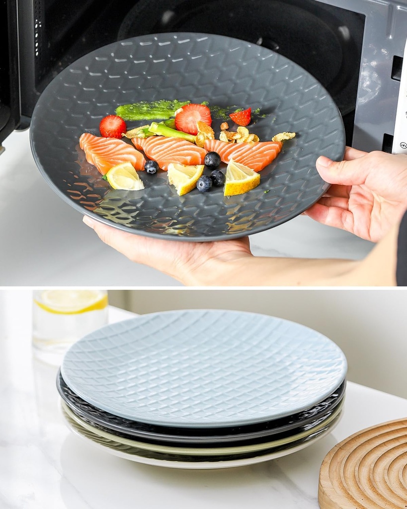 hasense-dinner-plates-10-inch-ceramic-di-6.jpg