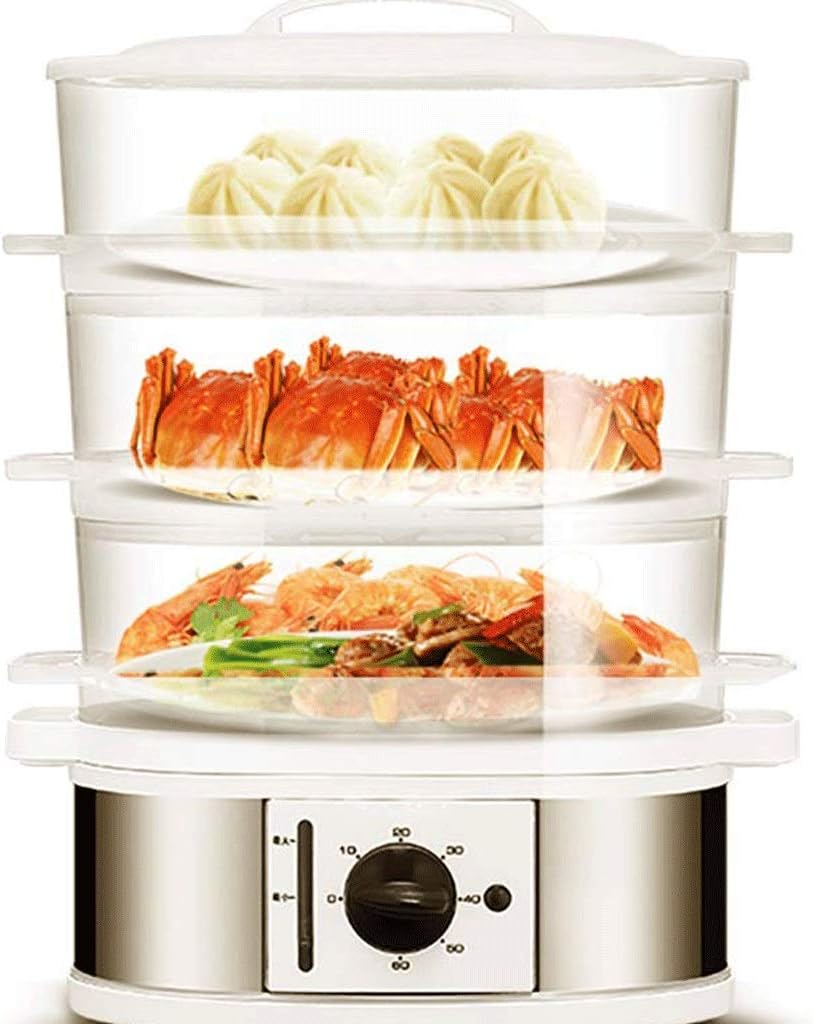 electric-food-steamer-vegetable-steamer--4.jpg
