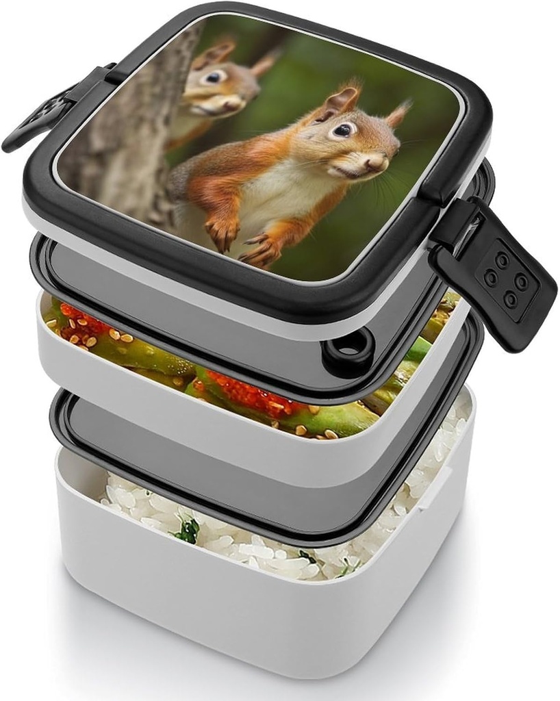 stackable-double-layer-bento-box-squirre-4.jpg
