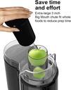sifene-juicer-machines-big-mouth-large-3-2.jpg