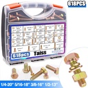 taiss-618pcs-grade-88-bolts-and-nuts-kit-3.jpg