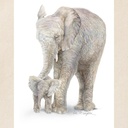 cafepress-mother-and-baby-elephant-tote--2.jpg
