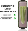 celery-keeper-for-refrigerator-celery-st-2.jpg